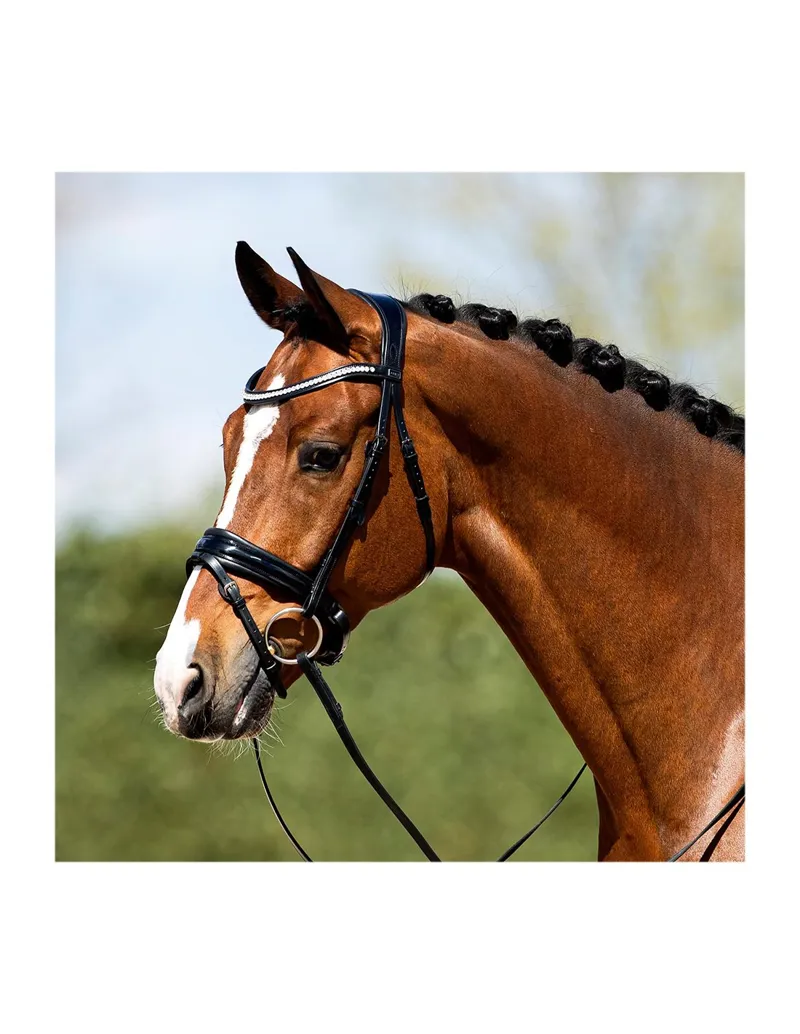 Anky Anatomical Patent Bridle Black-2